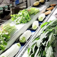 Flexible Pillow Packaging Machine for Fast Sealing of Snacks, Sweets, and Daily Use Products Customized