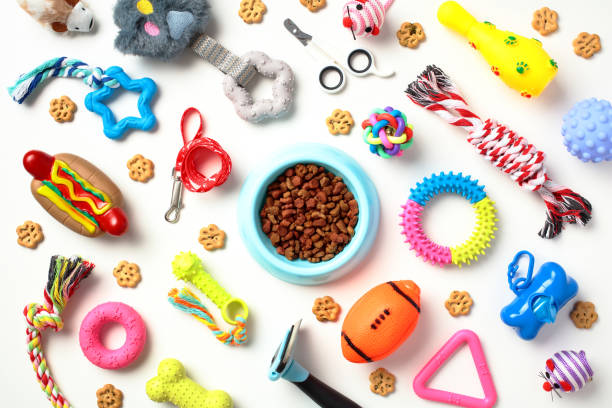 Pet Supplies