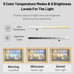 Decorative LED Night Light Painting USB Plug Dimming Wall Artwork Table Lamp Gift Indoor Sunlight Window Photo Night Luminous